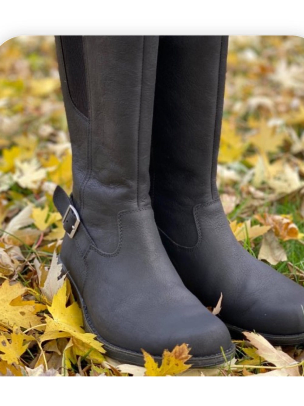 Merrell Andover Peak WP (Waterproof) Boots - Black